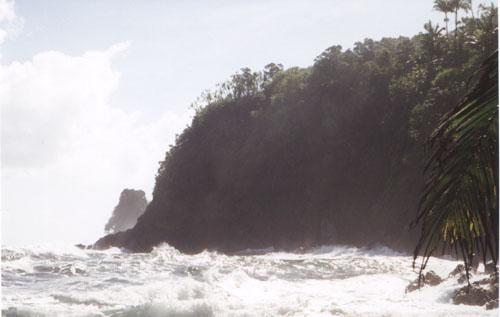 Hazy Bright Coastline